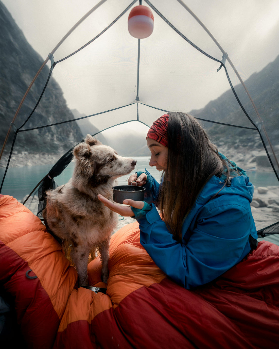 🐾 Camping With Your Pet: The Ultimate Outdoor Bonding Experience in 2025